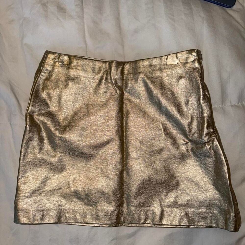 Zara Women's Gold and Silver Skirt